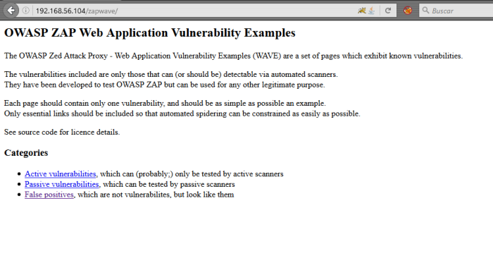 Figura 3 - Web Application Vulnerability Examples.png